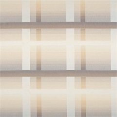 Avenue Montaigne Grain